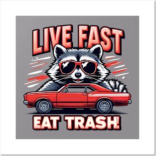 Possum Raccoon Live Fast Eat Trash Street Cats Squad Posters and Art